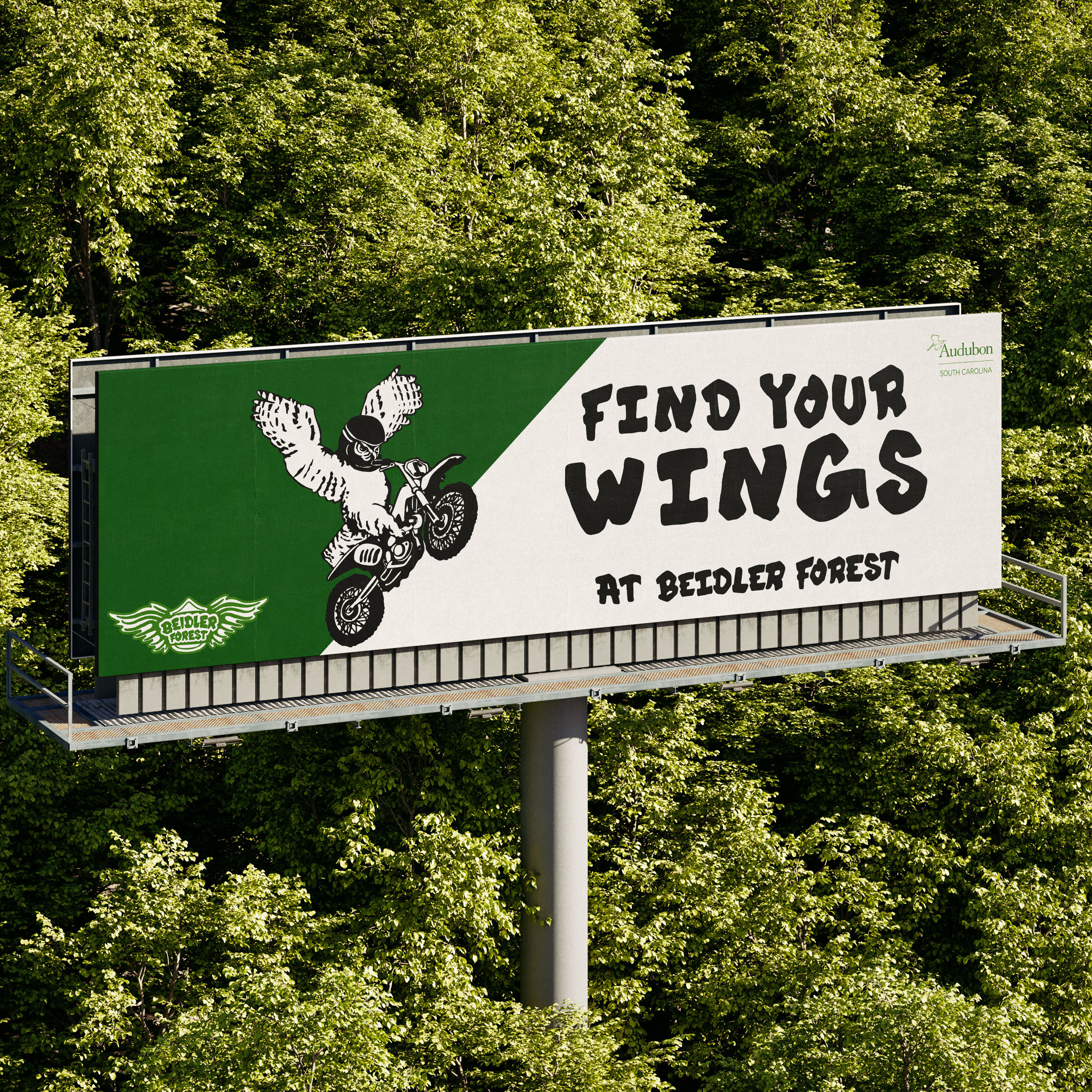 Beidler Forest project